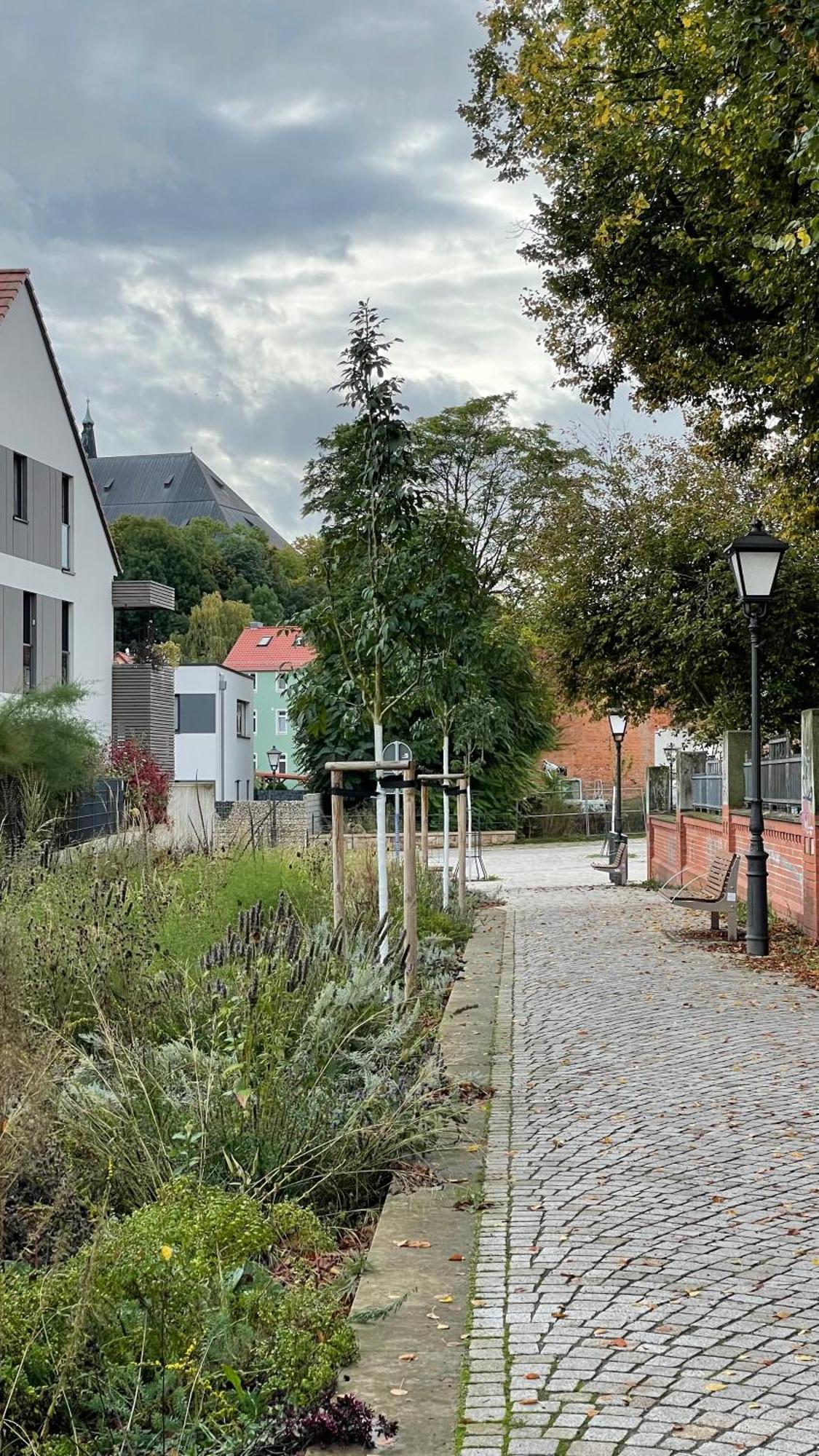 Neu! Oasis - Fewo Am Harz, Hochwertig Kernsaniert, 83 Qm, Eg Nordhausen Exterior foto